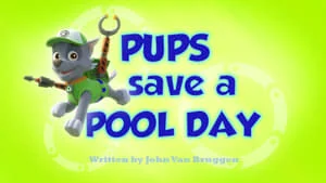 Pups Save a Hoedown still
