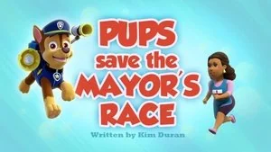 Pups Save Skye still