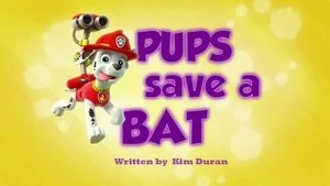 Pups Save the Camping Trip still