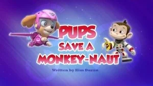 Pups Save a Windsurfing Pig still