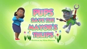 Pups Save a Space Toy still