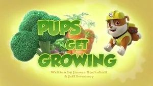 Pups Get Skunked still