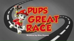 Pups Save Ryder still