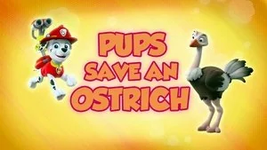 Pups Save an Ostrich still