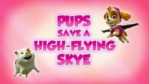 Pups Save an Extreme Lunch still