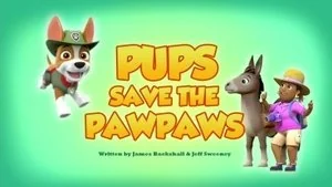 Pups Save the Snowshoeing Goodways still