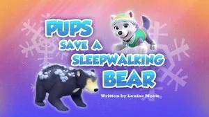 Pups Save a Space Rock still