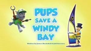 Pups Save a Frozen Camp Out still
