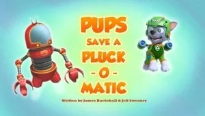 Pups Save Ace's Birthday Surprise still