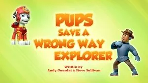 Pups Save a Roo still