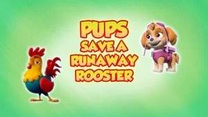 Pups Save a Runaway Rooster still