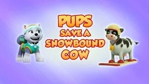 Pups Save a Snowbound Cow still