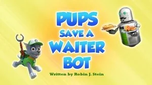 Pups Save the Maze Explorers still