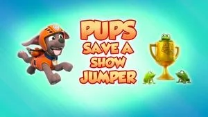 Pups Save the Treasure Cruise still
