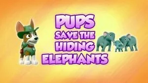 Pups and Katie Stop the Barking Kitty Crew still