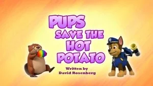 Pups Save Ryder's Surprise still