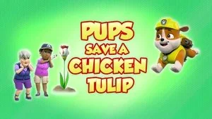 Pups Save a Box Fort still