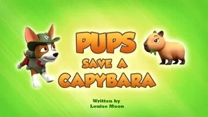 Pups Save a Runaway Robo-Chicken Purse still