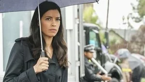 Vendetta still