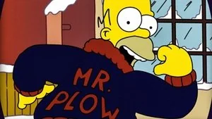 Mr. Plow still