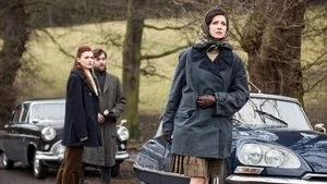 Dragonfly in Amber still