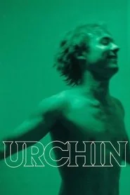 Urchin poster