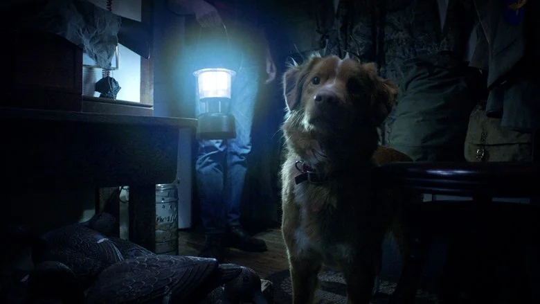 Good Boy trailer