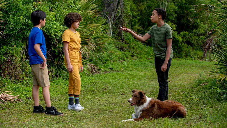 Pet Investigators trailer