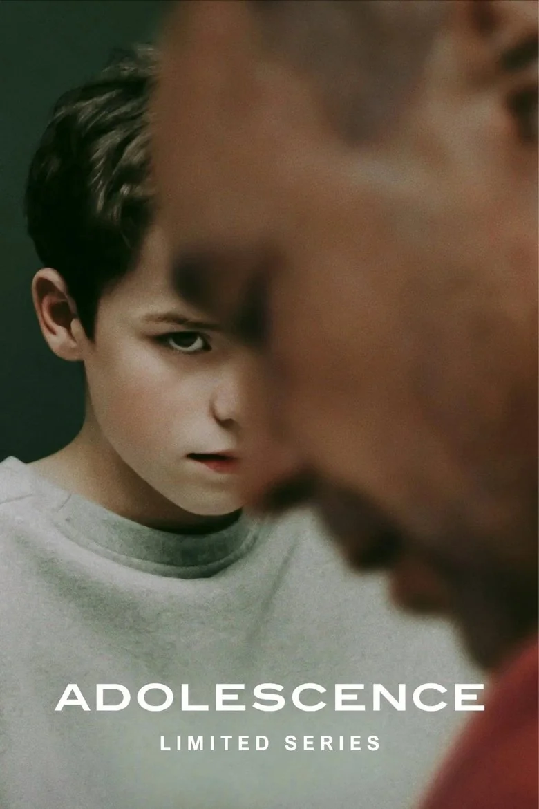 Limited Series poster