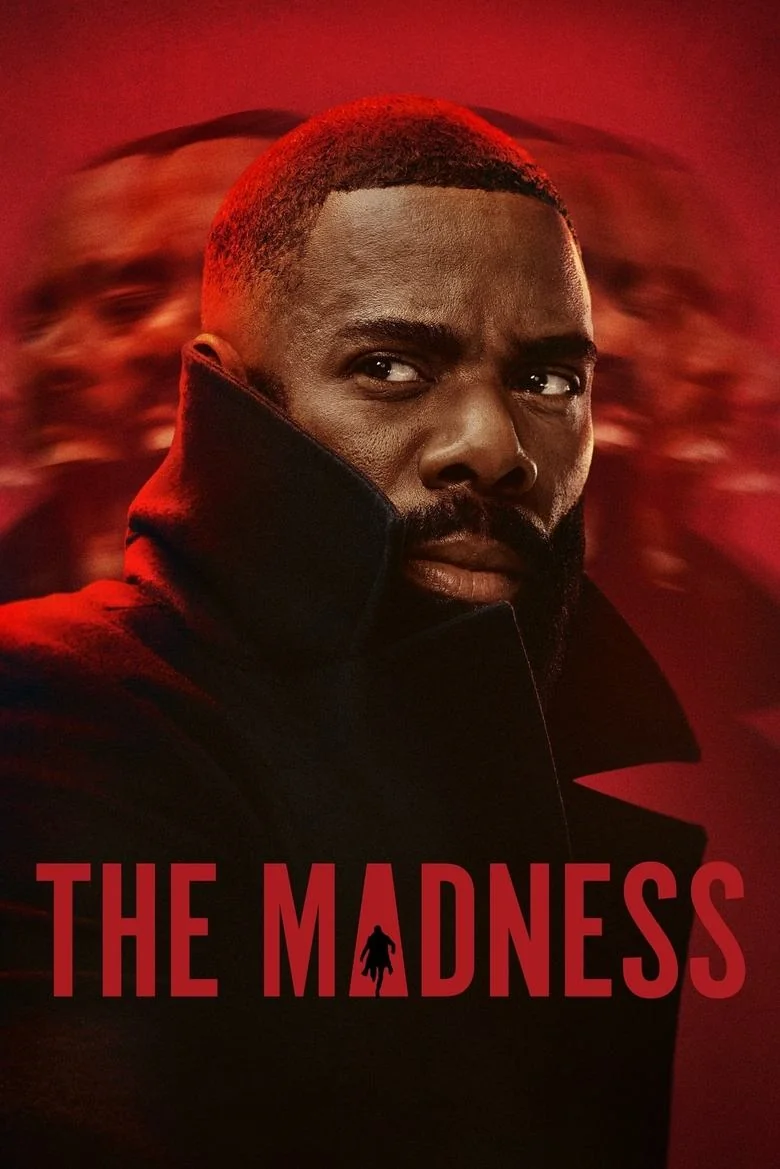 Limited Series poster