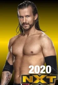 WWE NXT poster