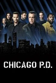 Chicago P.D. poster