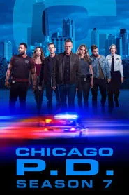 Chicago P.D. poster