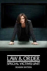 Law & Order: Special Victims Unit poster