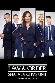 Law & Order: Special Victims Unit poster