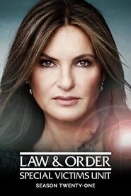 Law & Order: Special Victims Unit poster