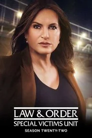 Law & Order: Special Victims Unit poster