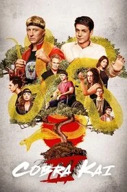 Cobra Kai poster