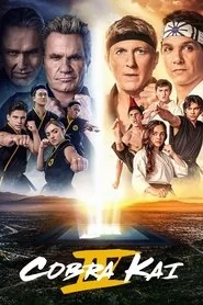 Cobra Kai poster