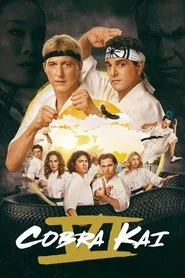 Cobra Kai poster