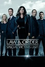 Law & Order: Special Victims Unit poster