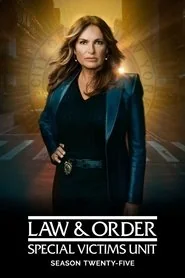 Law & Order: Special Victims Unit poster