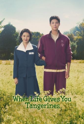 Limited Series