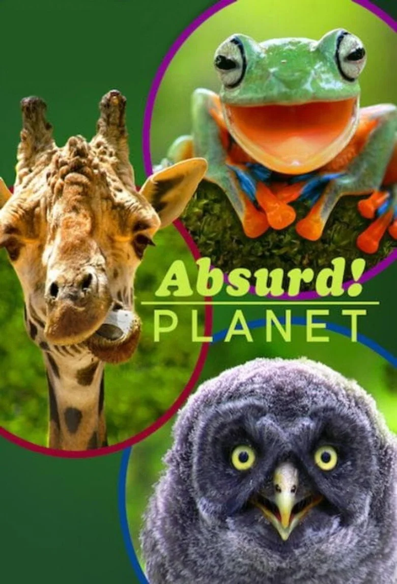 Absurd Planet Next Season Release Date & Streaming Info