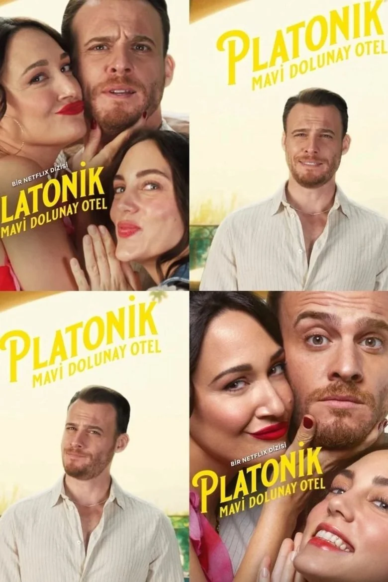 Platonic poster