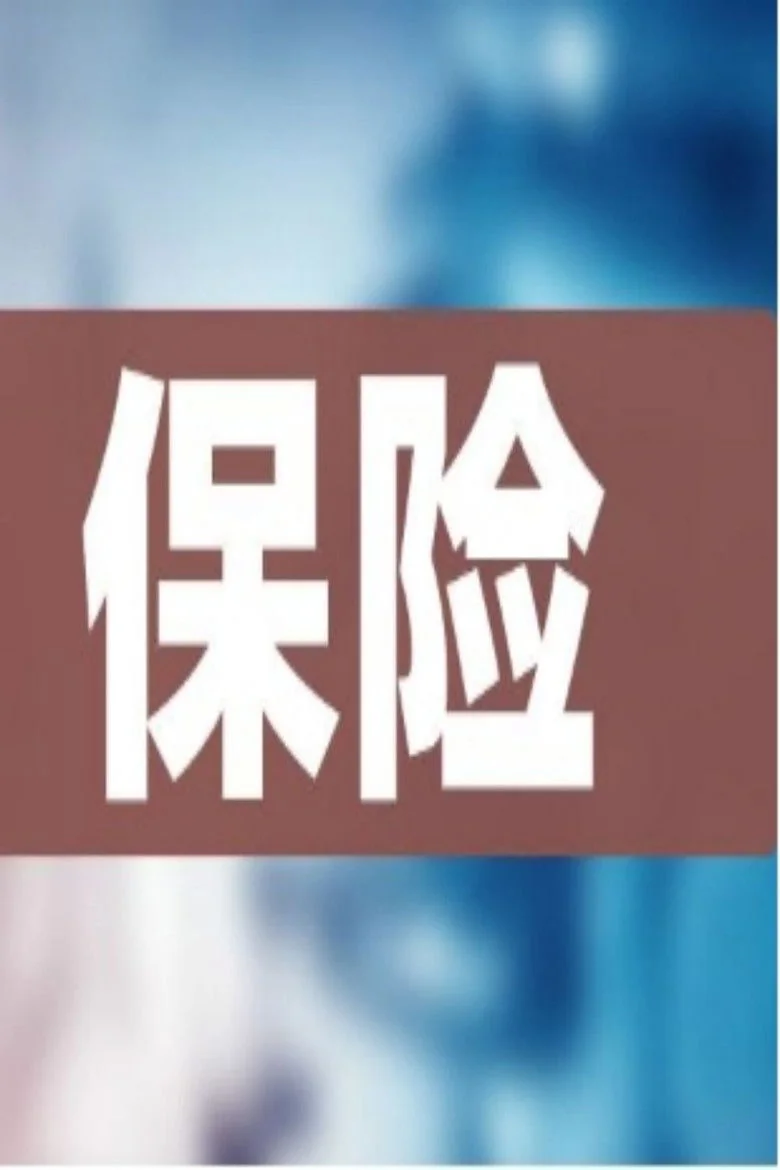 Binge Base 12节课教你规划家庭保险 Next Season Release Date & Streaming Info